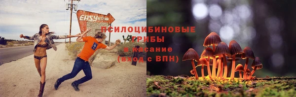 стаф Гусиноозёрск