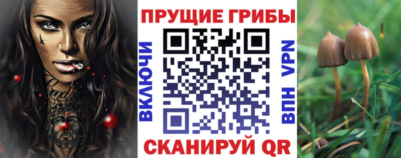 дарк нет клад  гидра ссылки  Остров  Галлюциногенные грибы Magic Shrooms 